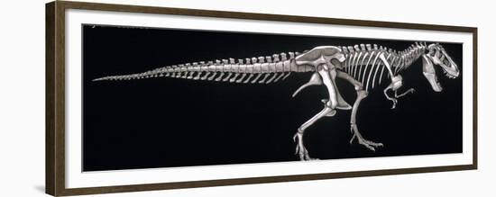 Tyrannosaurus Skeleton, Dinosaurs-Encyclopaedia Britannica-Framed Premium Giclee Print