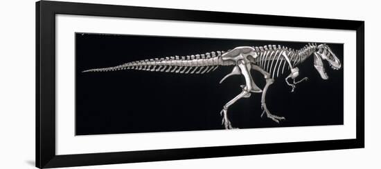 Tyrannosaurus Skeleton, Dinosaurs-Encyclopaedia Britannica-Framed Premium Giclee Print