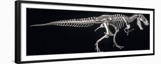 Tyrannosaurus Skeleton, Dinosaurs-Encyclopaedia Britannica-Framed Premium Giclee Print