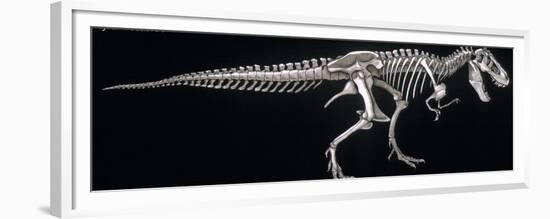 Tyrannosaurus Skeleton, Dinosaurs-Encyclopaedia Britannica-Framed Premium Giclee Print