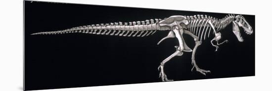 Tyrannosaurus Skeleton, Dinosaurs-Encyclopaedia Britannica-Mounted Premium Giclee Print