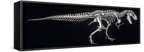 Tyrannosaurus Skeleton, Dinosaurs-Encyclopaedia Britannica-Framed Stretched Canvas