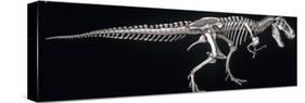 Tyrannosaurus Skeleton, Dinosaurs-Encyclopaedia Britannica-Stretched Canvas