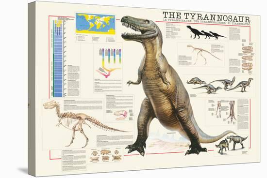 Tyrannosaurus-Libero Patrignani-Stretched Canvas