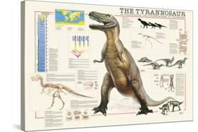 Tyrannosaurus-Libero Patrignani-Stretched Canvas