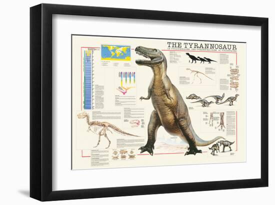 Tyrannosaurus-Libero Patrignani-Framed Art Print