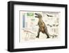 Tyrannosaurus-Libero Patrignani-Framed Art Print