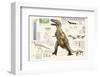 Tyrannosaurus-Libero Patrignani-Framed Art Print