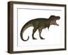 Tyranosaurus Rex, a Large Carnivore of the Cretaceous Period-null-Framed Art Print