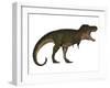 Tyranosaurus Rex, a Large Carnivore of the Cretaceous Period-null-Framed Art Print