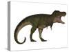 Tyranosaurus Rex, a Large Carnivore of the Cretaceous Period-null-Stretched Canvas