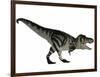 Tyranosaurus Rex, a Large Carnivore of the Cretaceous Period-null-Framed Art Print