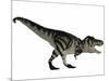 Tyranosaurus Rex, a Large Carnivore of the Cretaceous Period-null-Mounted Art Print