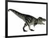 Tyranosaurus Rex, a Large Carnivore of the Cretaceous Period-null-Framed Art Print