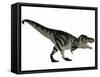 Tyranosaurus Rex, a Large Carnivore of the Cretaceous Period-null-Framed Stretched Canvas