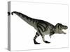 Tyranosaurus Rex, a Large Carnivore of the Cretaceous Period-null-Stretched Canvas