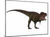 Tyranosaurus Rex, a Large Carnivore of the Cretaceous Period-null-Mounted Art Print