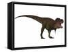 Tyranosaurus Rex, a Large Carnivore of the Cretaceous Period-null-Framed Stretched Canvas