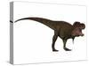 Tyranosaurus Rex, a Large Carnivore of the Cretaceous Period-null-Stretched Canvas