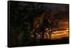 Tyranosaurus Rex Emerging from a Forest on the Lookout for Prey-null-Framed Stretched Canvas