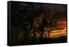 Tyranosaurus Rex Emerging from a Forest on the Lookout for Prey-null-Framed Stretched Canvas