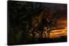 Tyranosaurus Rex Emerging from a Forest on the Lookout for Prey-null-Stretched Canvas