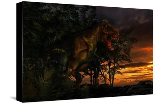 Stretched Canvas Print, , large