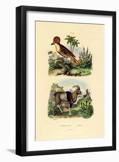 Tyrant, 1833-39-null-Framed Giclee Print