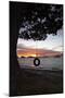 Tyre Swing at Long Bay-Stuart-Mounted Photographic Print