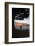 Tyre Swing at Long Bay-Stuart-Framed Photographic Print