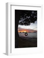 Tyre Swing at Long Bay-Stuart-Framed Photographic Print