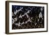 Tyre Tread: Blackthorn, 2008-Richard Pomeroy-Framed Giclee Print