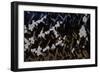 Tyre Tread: Blackthorn, 2008-Richard Pomeroy-Framed Giclee Print