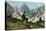Tyrolean Alps-null-Stretched Canvas