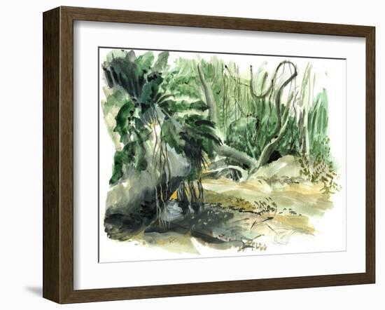 Tyrona, Jungle-Mary Kuper-Framed Giclee Print