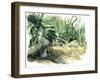 Tyrona, Jungle-Mary Kuper-Framed Giclee Print