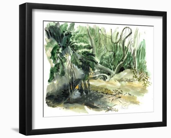 Tyrona, Jungle-Mary Kuper-Framed Giclee Print