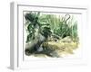 Tyrona, Jungle-Mary Kuper-Framed Giclee Print