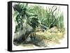 Tyrona, Jungle-Mary Kuper-Framed Stretched Canvas