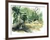 Tyrona, Jungle-Mary Kuper-Framed Giclee Print