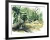 Tyrona, Jungle-Mary Kuper-Framed Giclee Print