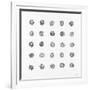 Gramercy White