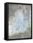 Framed Canvas