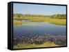 Tyto Wetlands, Ingham, Queensland, Australia, Pacific-Jochen Schlenker-Framed Stretched Canvas