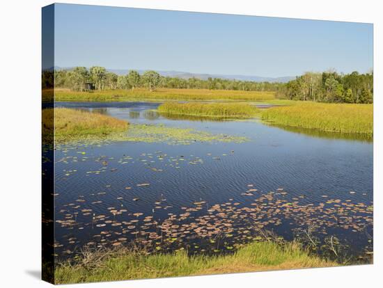 Tyto Wetlands, Ingham, Queensland, Australia, Pacific-Jochen Schlenker-Stretched Canvas