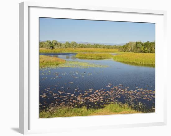 Tyto Wetlands, Ingham, Queensland, Australia, Pacific-Jochen Schlenker-Framed Photographic Print