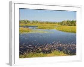 Tyto Wetlands, Ingham, Queensland, Australia, Pacific-Jochen Schlenker-Framed Photographic Print