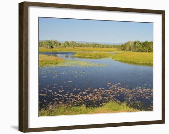 Tyto Wetlands, Ingham, Queensland, Australia, Pacific-Jochen Schlenker-Framed Photographic Print