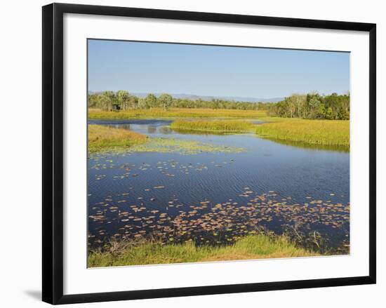 Tyto Wetlands, Ingham, Queensland, Australia, Pacific-Jochen Schlenker-Framed Photographic Print