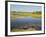 Tyto Wetlands, Ingham, Queensland, Australia, Pacific-Jochen Schlenker-Framed Photographic Print